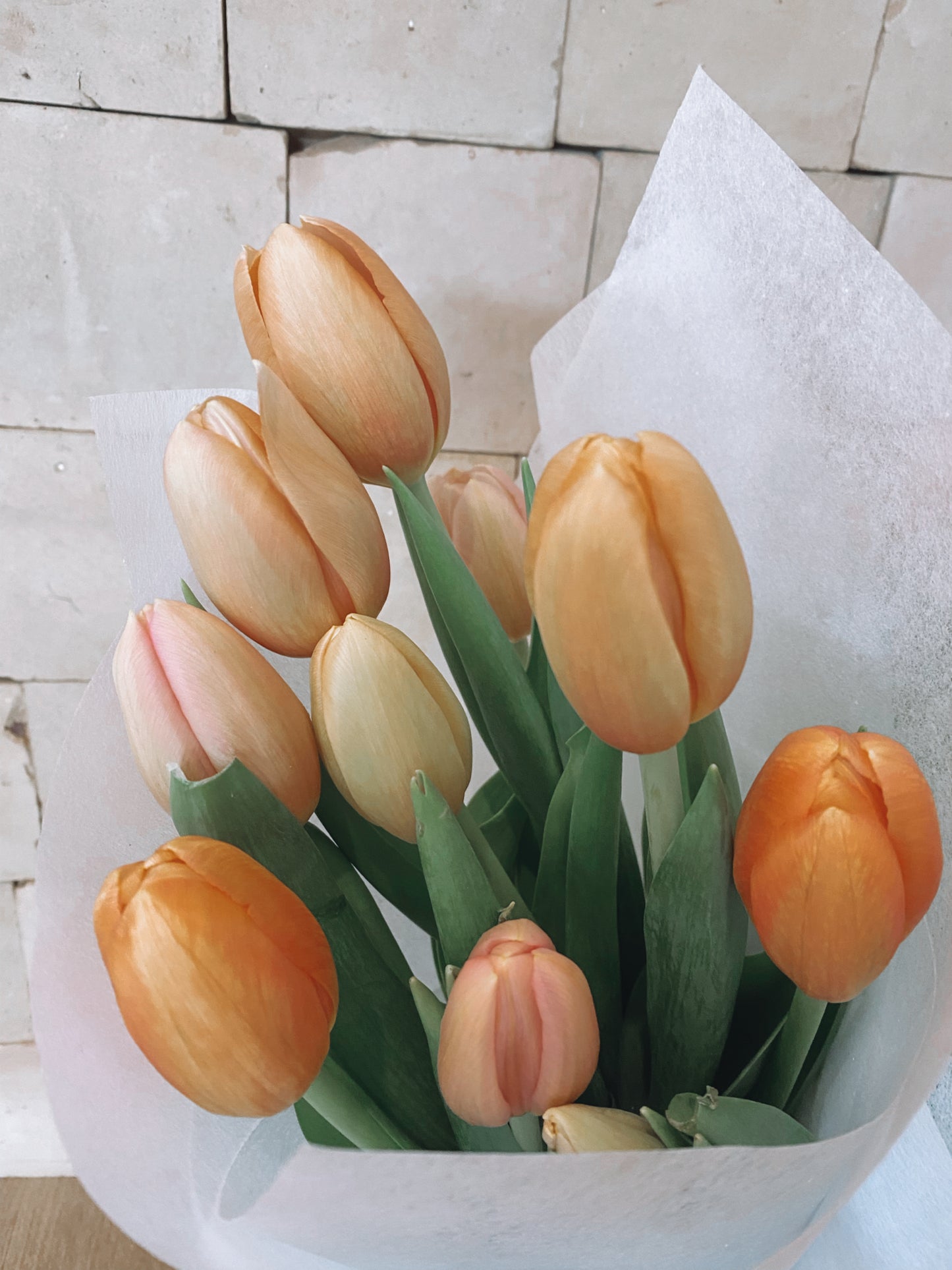 Fresh Tulips